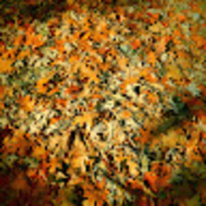 Meet your Posher, Vrinda